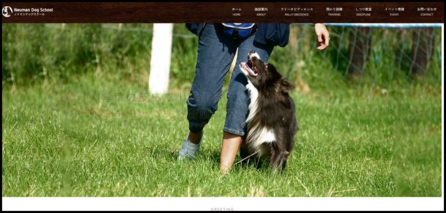 ノイマンドッグスクール｜徳島県の愛犬のしつけ教室・訓練