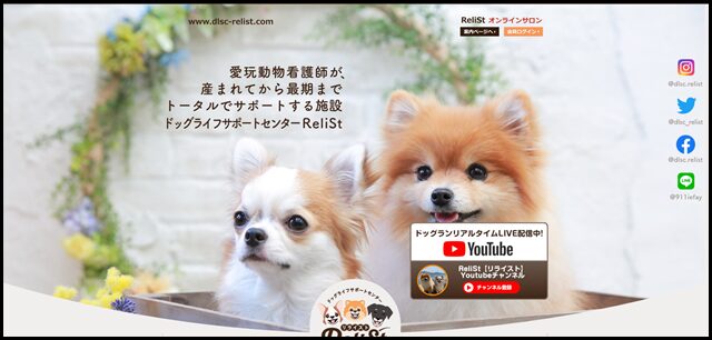 山口県 犬のしつけ 愛犬の悩みの事ならドッグライフサポートセンター ReliSt