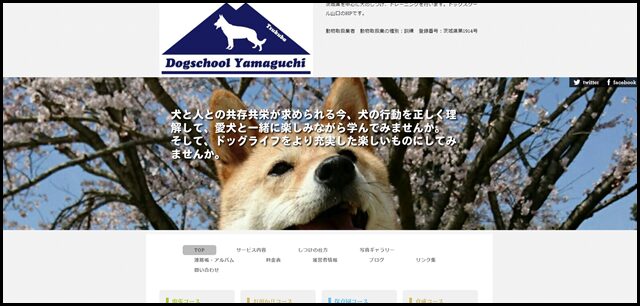 HOME｜つくば市を中心に出張しつけ・犬訓練を行います！「ドッグスクール山口」HPです