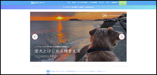 東京の世田谷区と文京区にある犬のしつけ教室です。おやつ、おもちゃを使用しない犬のしつけ