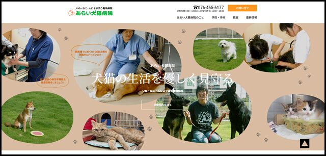 あらい犬猫病院