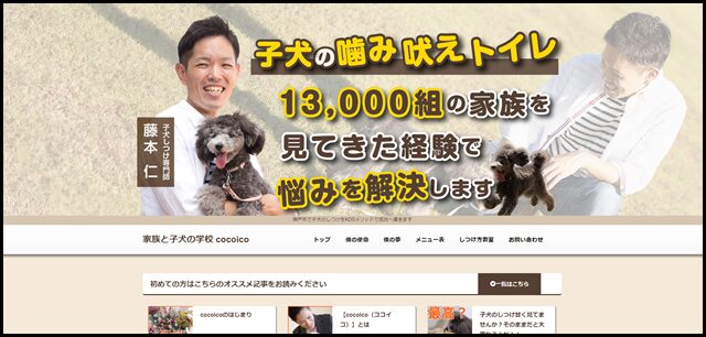 神戸市で子犬のしつけをKDSメソッドで成功へ導きます -