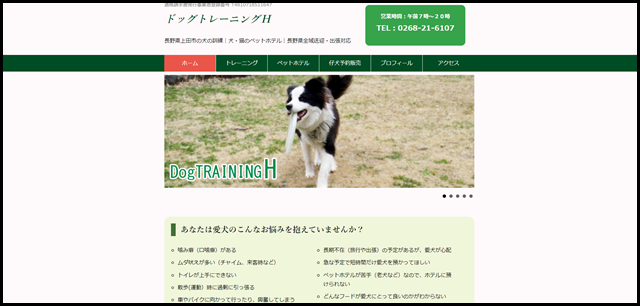 ドッグトレーニングＨ