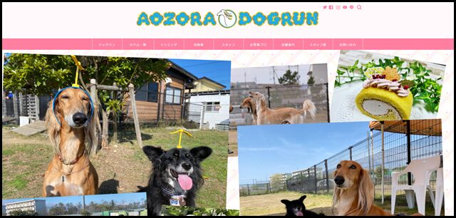 あおぞらドッグラン｜鳥取県｜鳥取市｜ペット｜ドッグラン｜ペットホテル｜トリミング｜犬のしつけ