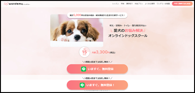 【お試し無料】ワンデミー｜しつけ相談・レッスン受け放題！日本最大級オンラインドッグスクール