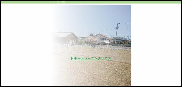 ドギートレーニングハウス