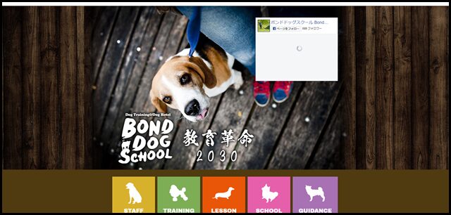 BOND DOG SCHOOL – Dog Training & Dog Hotel