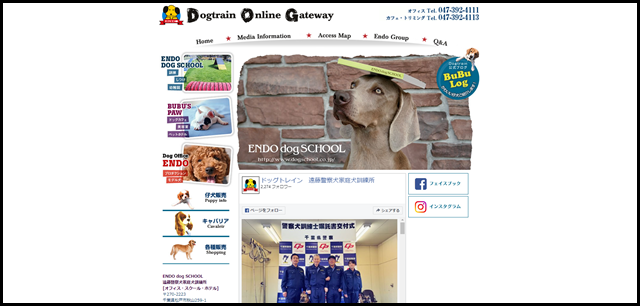 犬のしつけ　訓練　ペットホテル　トリミング　モデル犬　遠藤ドッグスクール　千葉県　松戸市　東京都　文京区