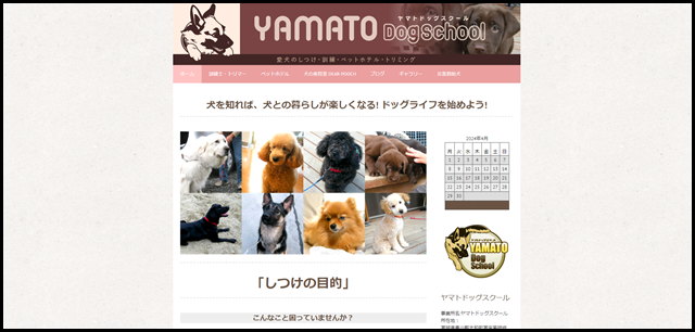 ヤマトドッグスクール