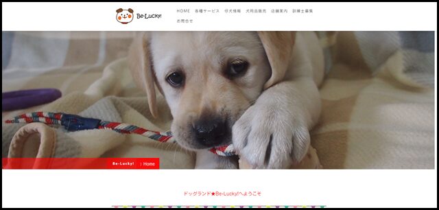 神戸のペットホテル、犬のしつけ、家庭犬のトレーニング - 神戸 犬の ペットホテル　ビーラッキー!