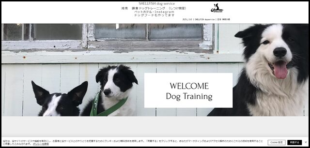 湘南ドッグトレーニング
