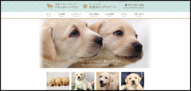 京都 英国ラブラドールレトリバーブリーダー　トラッカーハウス｜子犬販売・訓練済み犬・交配・繁殖