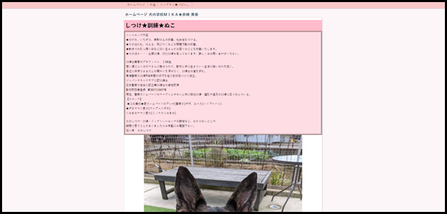 犬の学校ＭＩＫＡ★石川県白山市☆赤崎 美香☆
