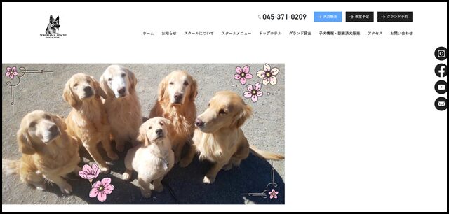 ホーム - 横浜市で家庭犬・訓練犬の訓練所は【横浜安達ドッグスクール】