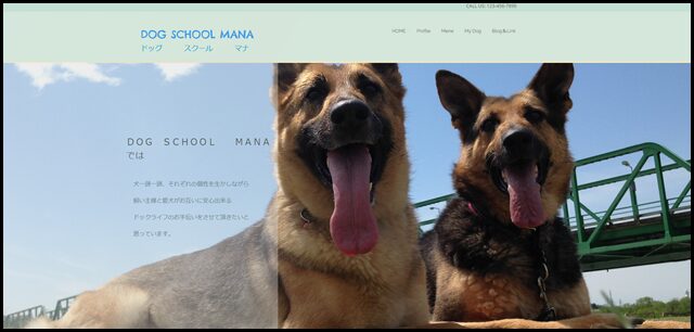 HOME - DOG SCHOOL MANA