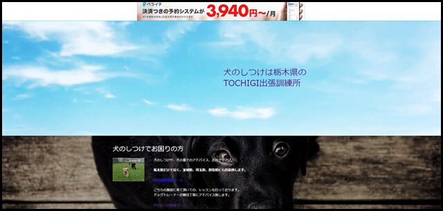犬のしつけは栃木県のTOCHIGI犬の出張訓練所