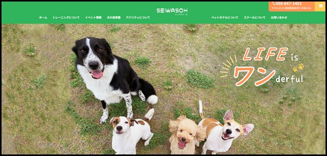 SEIWASOHドッグスクール