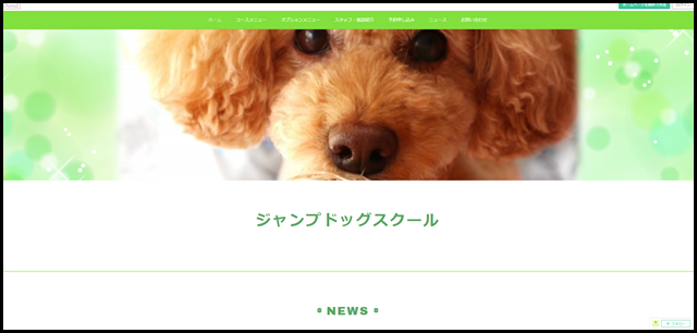 ジャンプドッグスクール
