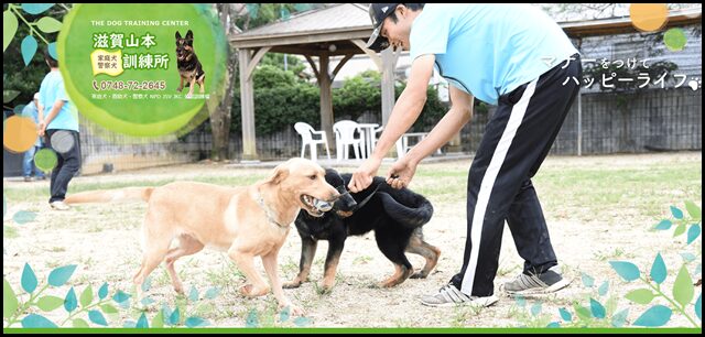 滋賀山本家庭犬・警察犬訓練所【滋賀県湖南市】災害救助犬の育成、ドッグトレーニング、犬のしつけの出張訓練 - Just another WordPress site