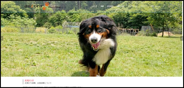 青空ドッグスクール – 香川県｜高松市ドッグスクール　ワンちゃんの訓練なら青空ドッグスクールまで