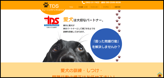 佐賀 - トレーニングドッグスタジオ - 犬のしつけ - 日本