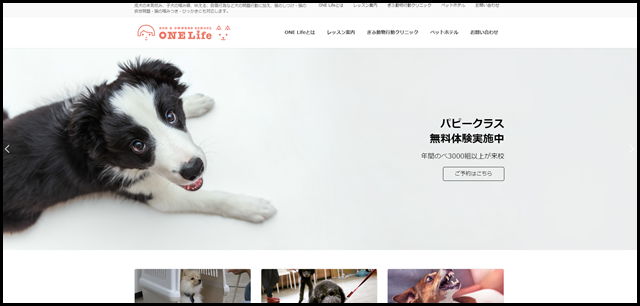 犬のしつけ教室ONELife＆ぎふ動物行動クリニック｜犬猫のしつけ・本気噛み・噛み癖の相談治療 - 成犬の本気咬み、子犬の噛み癖、吠える、自傷行為など犬の問題行動に加え、猫のしつけ・猫の排泄問題・猫_