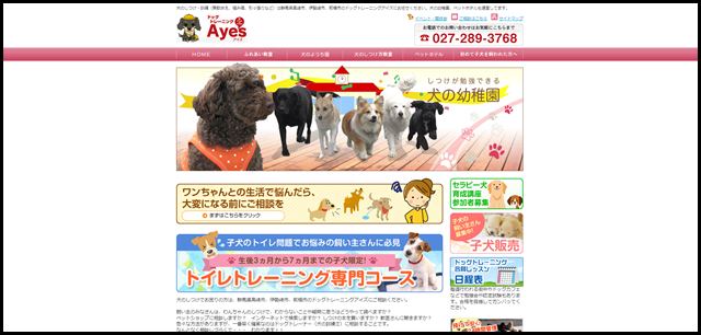 群馬県で犬のしつけや訓練、幼稚園・ペットホテルは高崎市、伊勢崎市、前橋市のドッグトレーニングアイズ