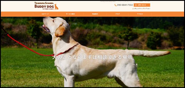 犬のことならまずは相談できる場所｜Training School Buddy Dog