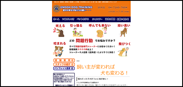 犬のしつけ、訓練、柏市、松戸市、流山市、野田市、市川市、東京都、埼玉県、神奈川県訪問指導します