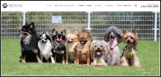 札幌市西区 犬の訓練・しつけ教室・ドッグラン - 大沢ドッグトレーニング