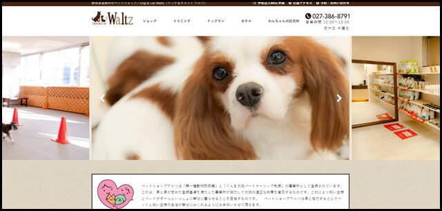 群馬県高崎市のペットショップ - Dog & Cat Waltz（ドッグ＆キャット ワルツ）