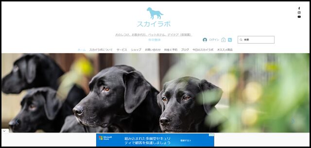 犬のしつけ - スカイラボ - 富山