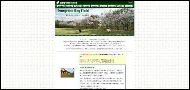evergreen dog field