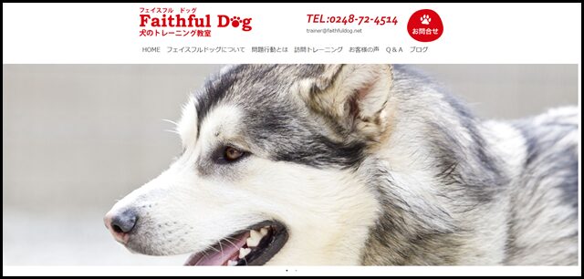 faithfuldog